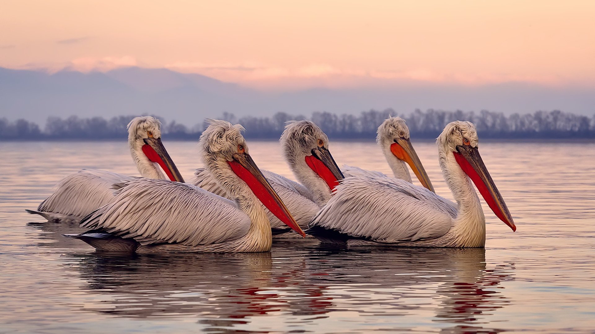 边后卫助攻次数是否被列入数据评分模型核心,边后卫活动范围